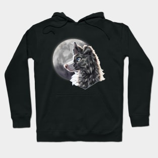 Blue Slate Merle Border Collie with Night Sky Full Moon Hoodie